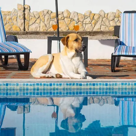 Family Friendly House With A Swimming Pool Smrika, - 24407 Casa vacanze *