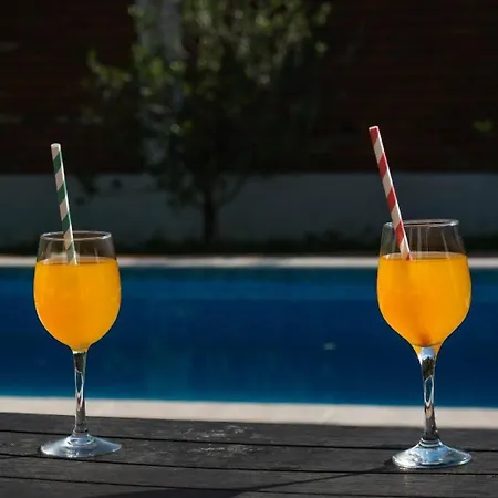 Family Friendly House With A Swimming Pool Smrika, - 24407