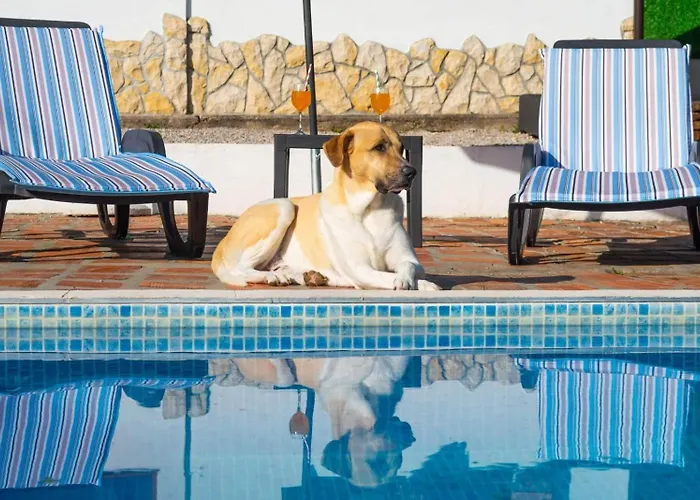 Family Friendly House With A Swimming Pool Smrika, - 24407 Holiday home *